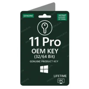 Microsoft Windows 11 Pro License Key - Pro Hub