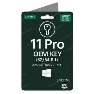 Microsoft Windows 11 Pro License Key - Pro Hub