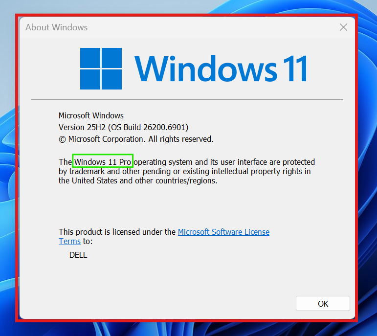 windows 10